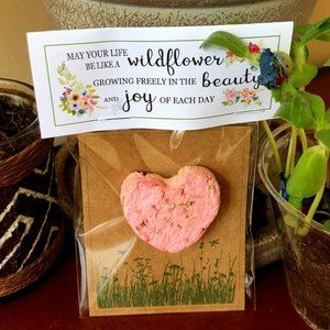 WILDFLOWER HEART Seed Bomb gift bag- Plantable blooming recycled paper seed bomb